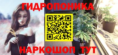 PSILOCYBIN Канаш