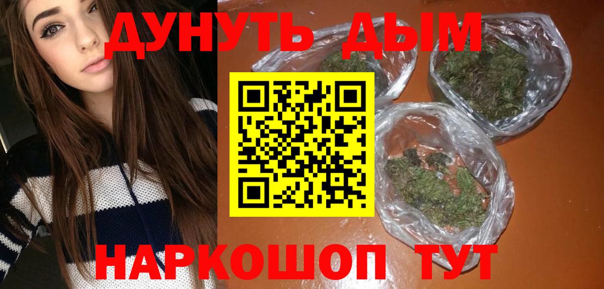 Каннабис гибрид Курчатов